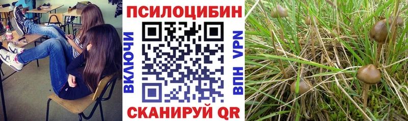 цены наркотик блэк спрут как зайти Галлюциногенные грибы GOLDEN TEACHER Березники
