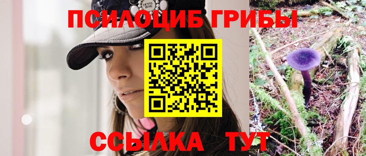 Березники  Псилоцибиновые грибы ЛСД  Вход с VPN 